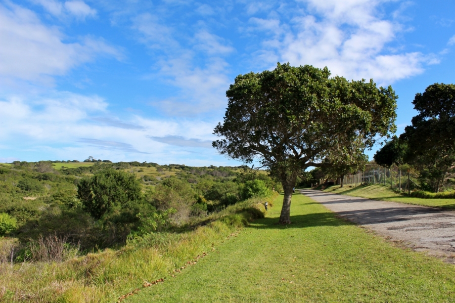 0 Bedroom Property for Sale in Forest Downs Eastern Cape